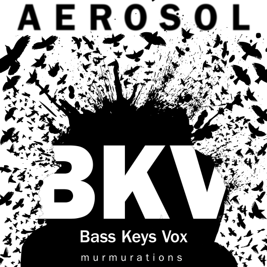 Murmurations (BKV Version)